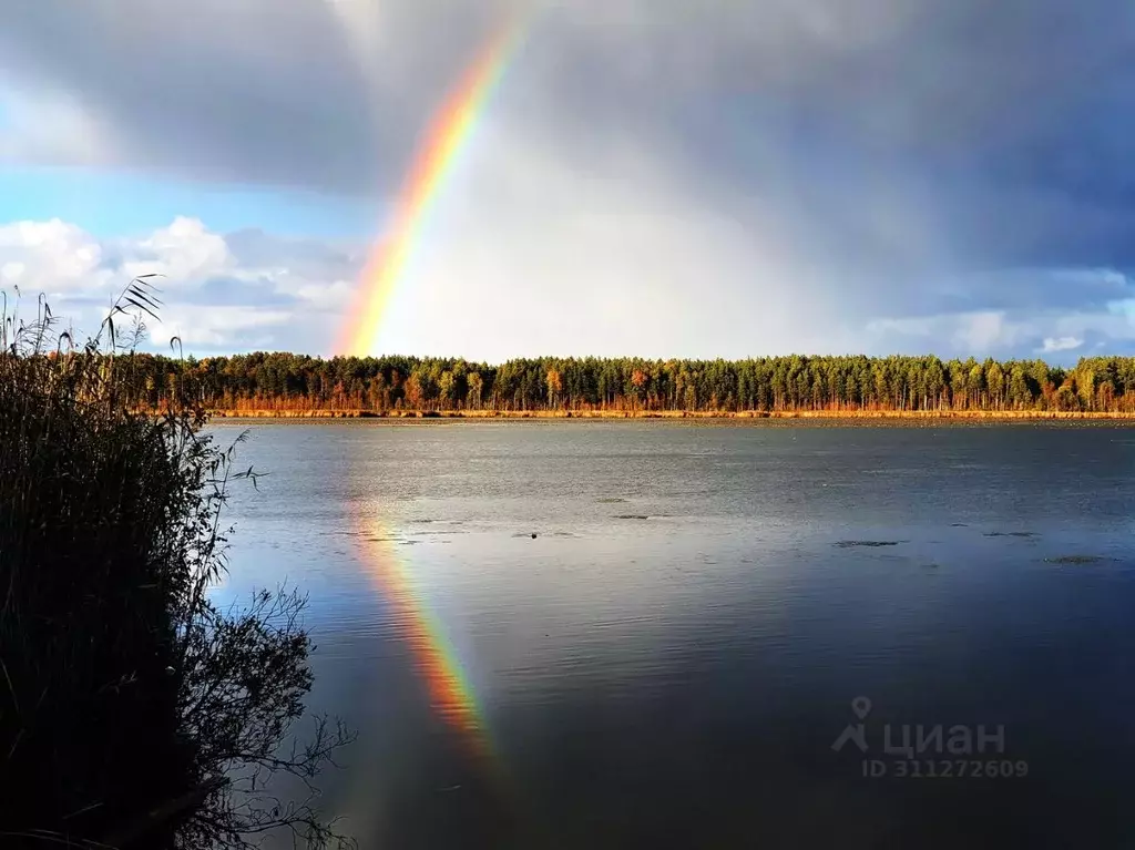 Участок в Ленинградская область, Выборгский район, Красносельское ... - Фото 0