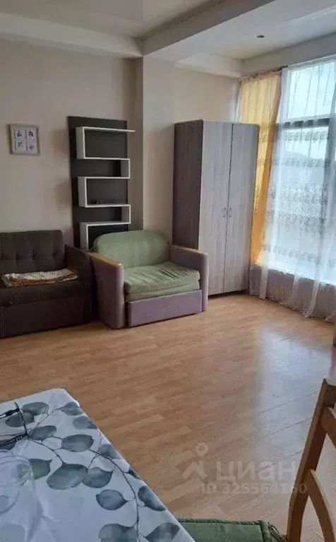 Студия Краснодарский край, Сочи Вишневая ул., 15А (30.0 м) - Фото 2