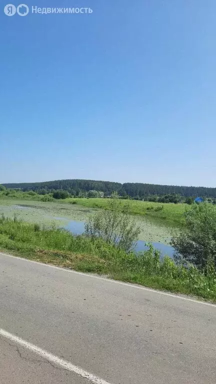 Участок в Бийский район, посёлок Мальцева Курья, улица Трофимова (50 ... - Фото 2