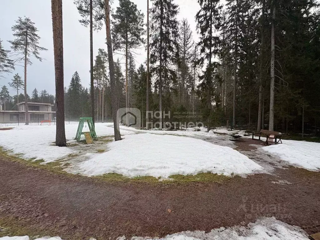 Участок в Ленинградская область, Выборгский район, Рощино пгт, Рощино ... - Фото 2