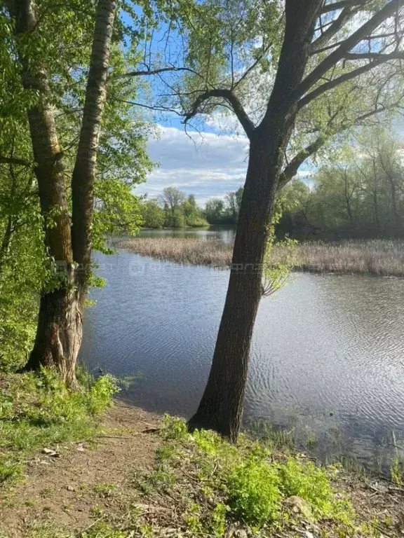 Дом в Татарстан, Зеленодольск ул. Чкалова (15.0 м) - Фото 1