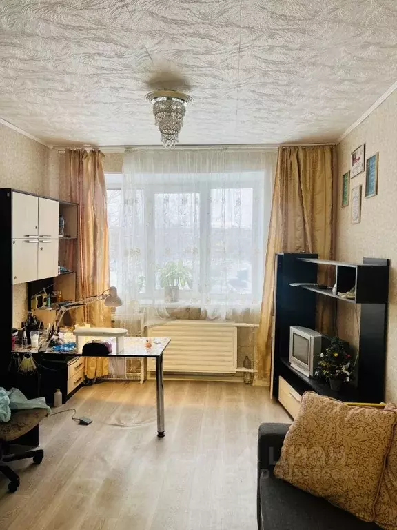 Студия Вологодская область, Череповец Пионерская ул., 23В (19.6 м) - Фото 1