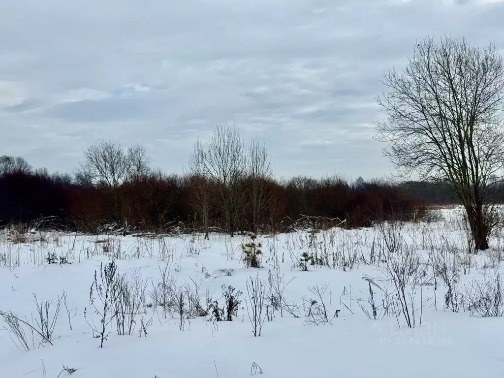 Участок в Ленинградская область, Гатчинский район, д. Романовка  (10.0 ... - Фото 1