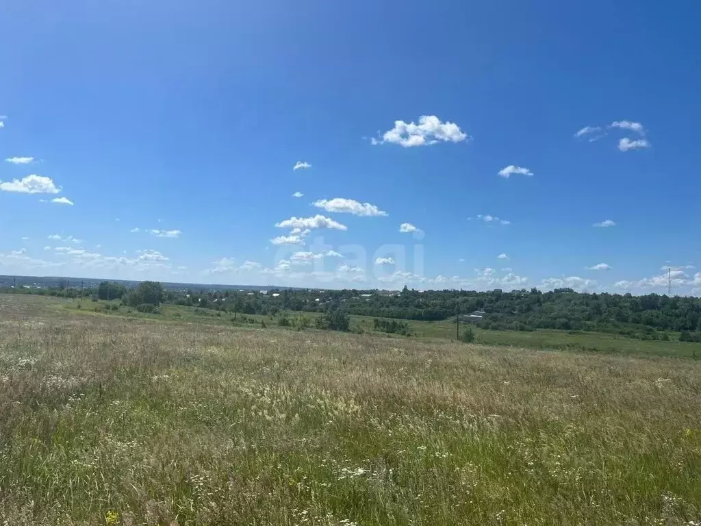 Участок в Воронежская область, Рамонский район, Новоживотинновское ... - Фото 2