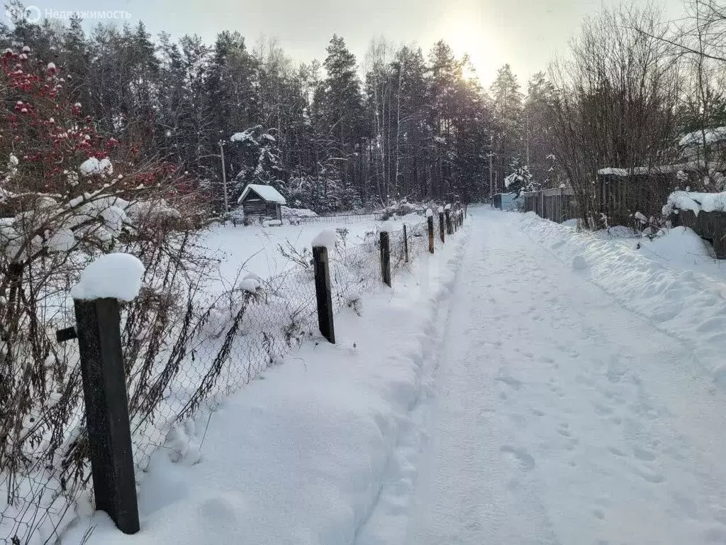 Дом в Нетьинское сельское поселение, СДТ Весна (25 м) - Фото 1