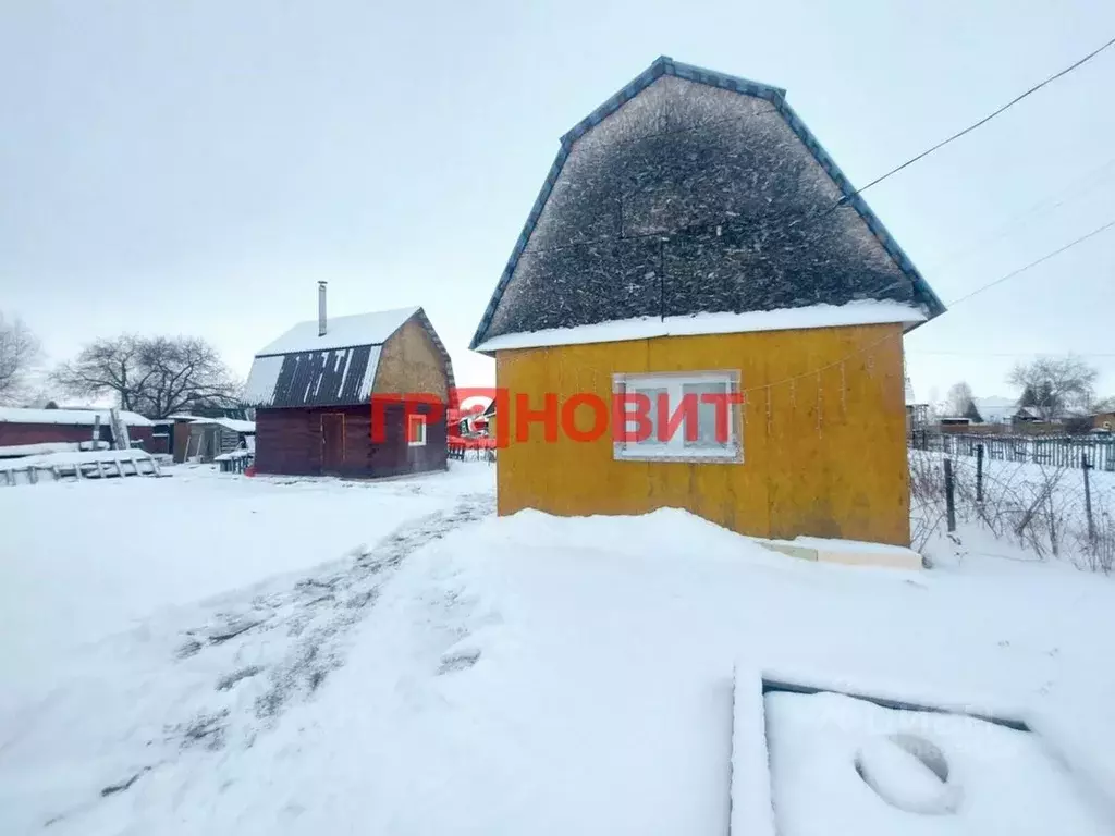 Дом в Новосибирская область, Коченевский район, Ясень СНТ 280 (45 м) - Фото 0