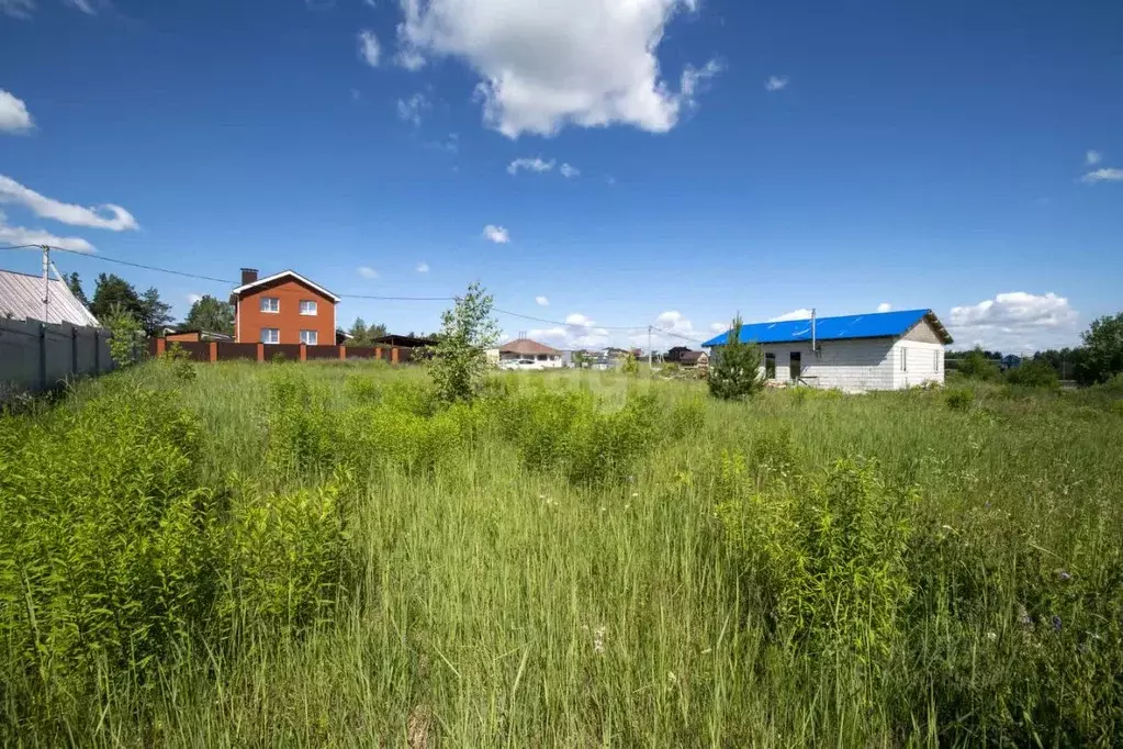 Участок в Нижегородская область, Богородский муниципальный округ, с. ... - Фото 0