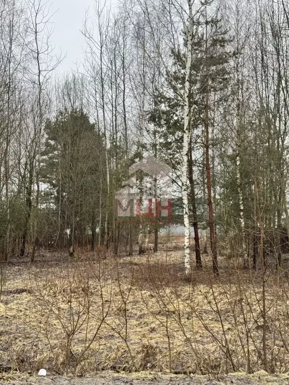 Участок в Тверская область, Конаковский муниципальный округ, д. ... - Фото 1