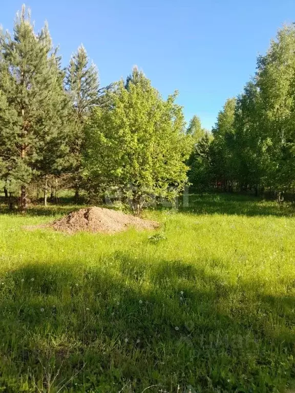 Участок в Башкортостан, Иглинский район, с. Охлебинино  (13.0 сот.) - Фото 1