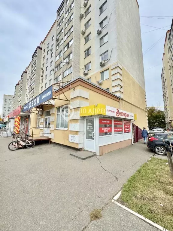 Торговая площадь в Саратовская область, Энгельс Степная ул., 55 (240 ... - Фото 2