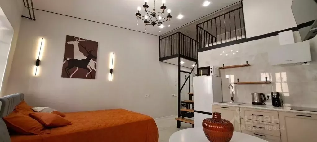 Студия Санкт-Петербург Полтавская ул., 10 (30.0 м) - Фото 1