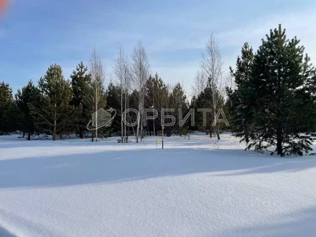 Участок в Тюменская область, Тюменский муниципальный округ, с. Княжево ... - Фото 1