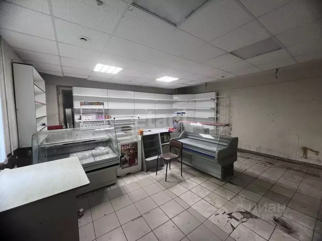 Торговая площадь в Курганская область, Курган Станционная ул., 28 (62 ... - Фото 1