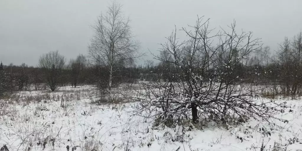 Участок в Московская область, Дмитровский муниципальный округ, с. ... - Фото 1