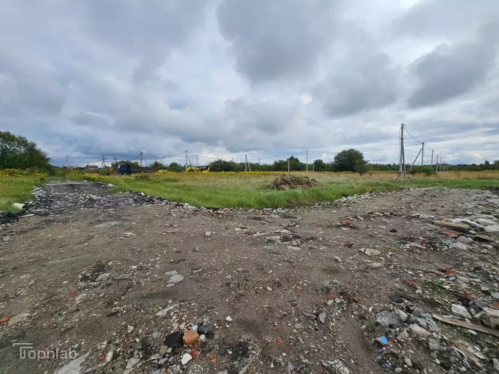 Участок в Калининградская область, Гурьевский муниципальный округ, ... - Фото 2