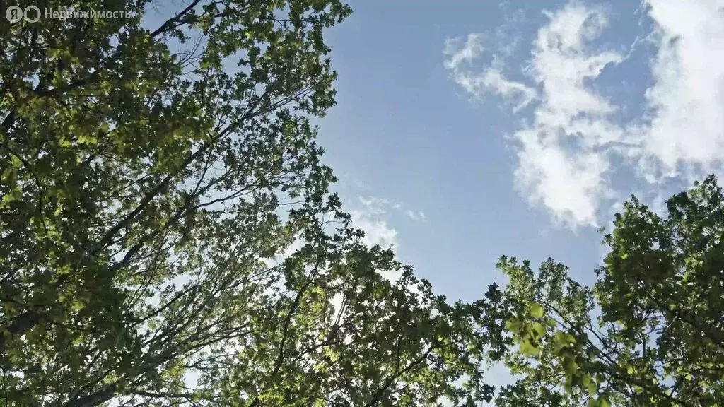 Помещение свободного назначения (3.2 м) - Фото 2