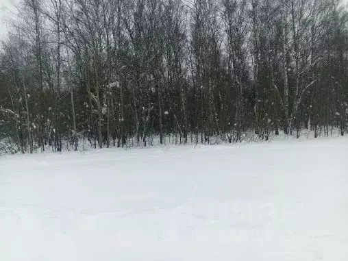 Участок в Московская область, Чехов муниципальный округ, д. Сидориха  ... - Фото 2