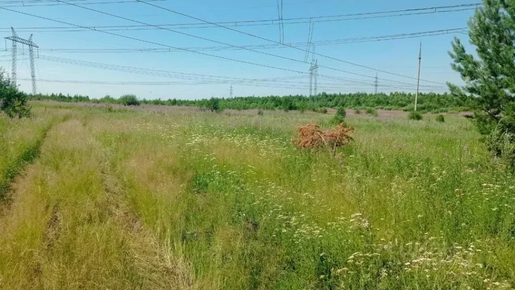Участок в Иркутская область, Шелехов  (800.0 сот.) - Фото 0