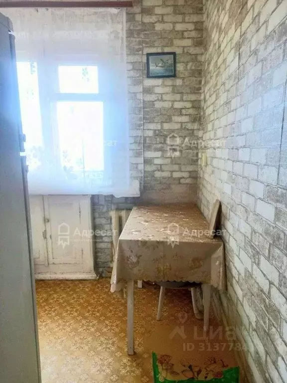 2-к кв. Волгоградская область, Волгоград Богунская ул., 28А (41.2 м) - Фото 1