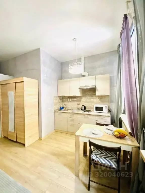 1-к кв. Санкт-Петербург Шпалерная ул., 34 (26.0 м) - Фото 1