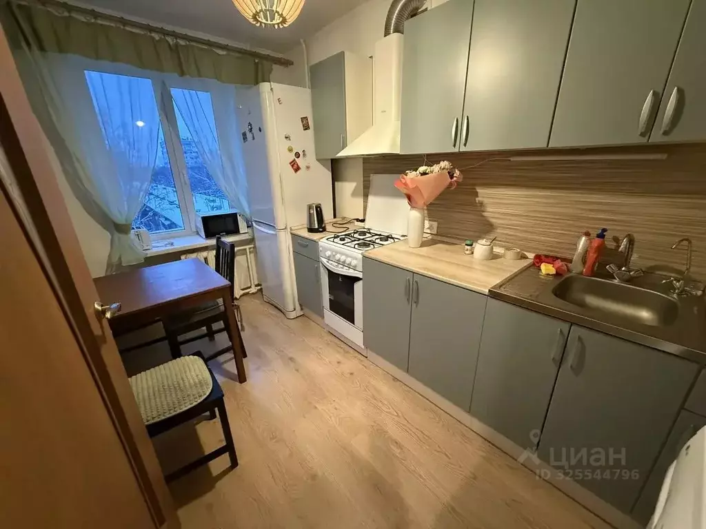 1-к кв. Санкт-Петербург просп. Просвещения, 84К1 (29.6 м) - Фото 2