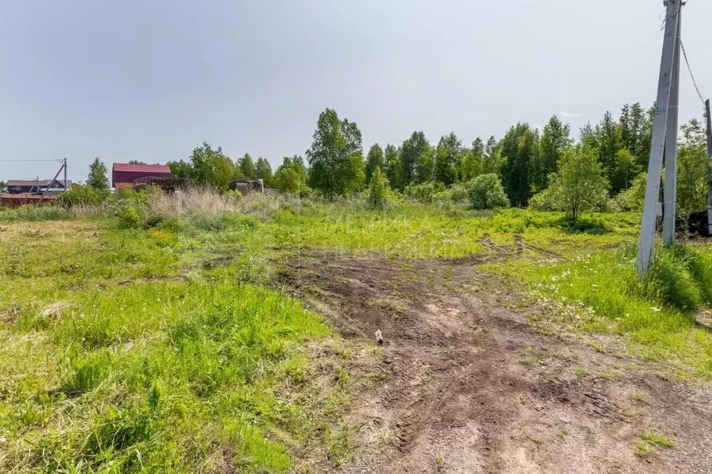Участок в Тюменская область, Тюмень Якорь садовое товарищество, ул. ... - Фото 1