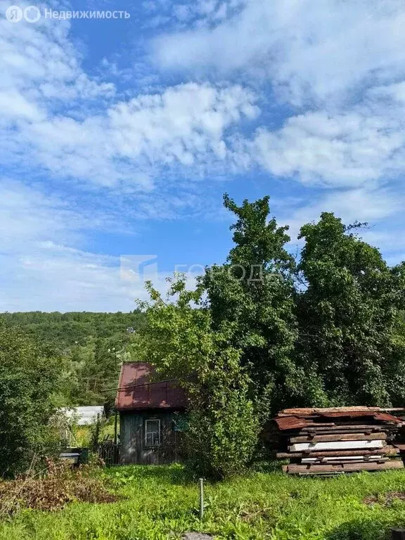 Участок в Новокузнецк, СНТ Шахта им. Димитрова (12 м) - Фото 1