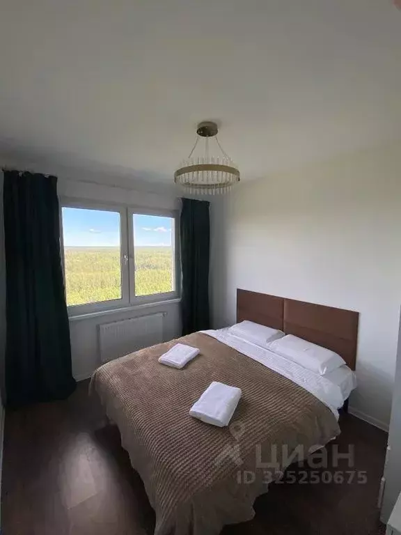 1-к кв. Санкт-Петербург ул. Пейзажная, 26 (30.0 м) - Фото 2