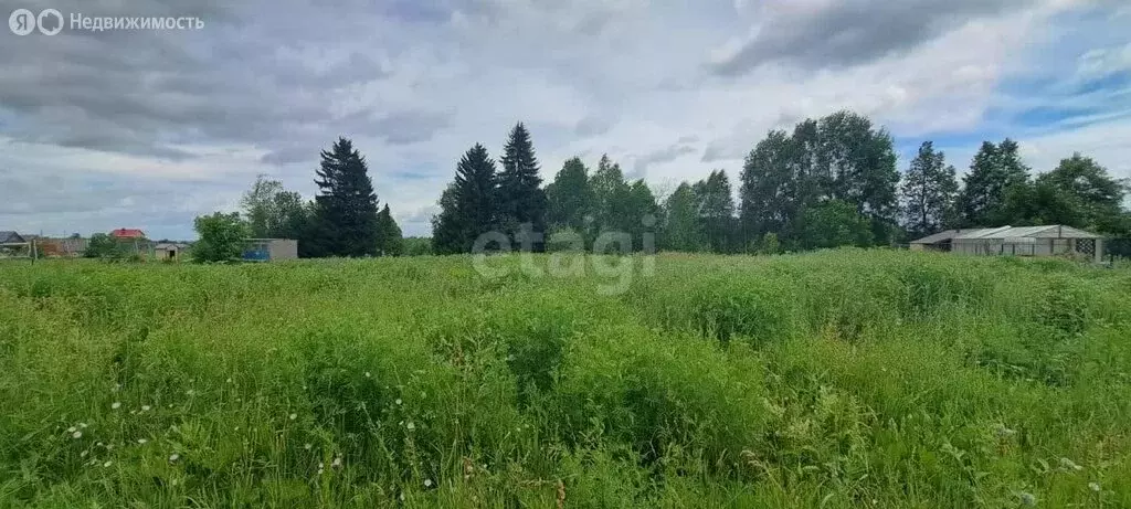 Участок в Медведевский район, Шойбулакское сельское поселение, деревня ... - Фото 0