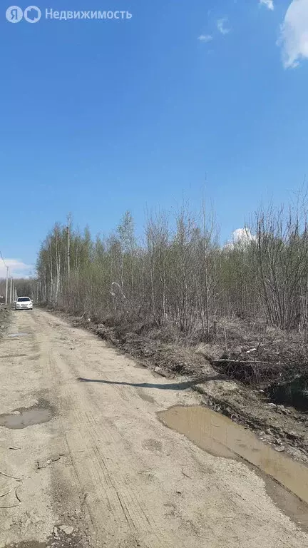 Участок в Мичуринское сельское поселение, село Виноградовка (9 м) - Фото 2