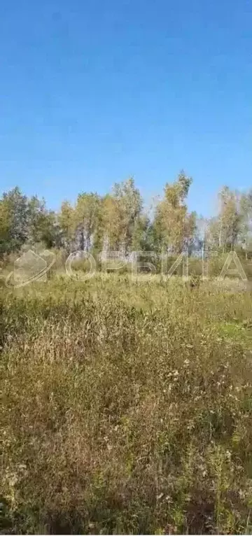 Участок в Тюменская область, Тюменский район, с. Борки  (72.0 сот.) - Фото 0