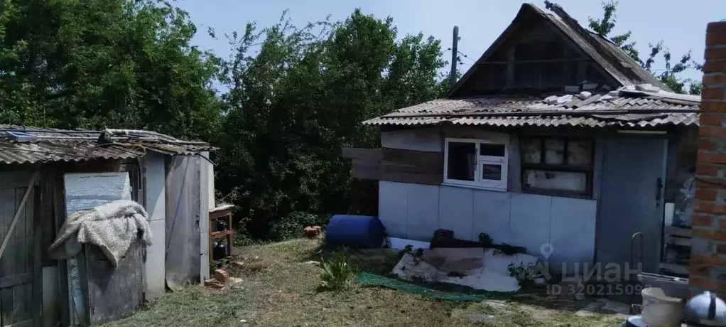 Дом в Волгоградская область, Волгоград Просвещение СНТ,  (30 м) - Фото 1