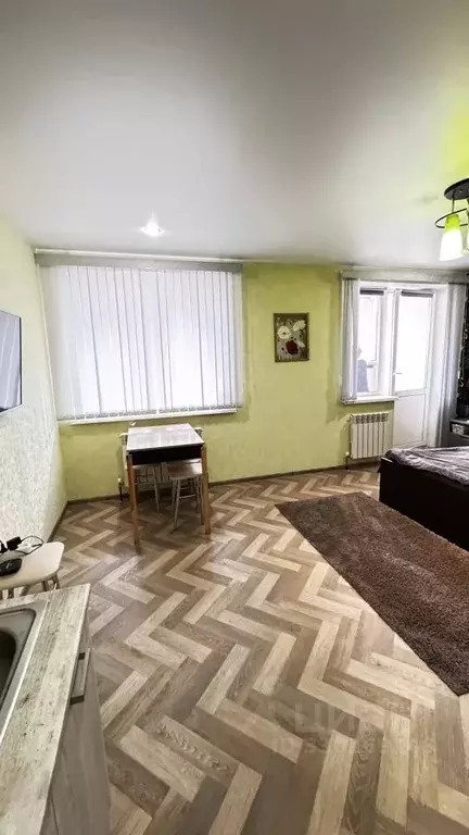 1-к кв. Нижегородская область, Дзержинск ул. Комбрига Патоличева, 34 ... - Фото 2
