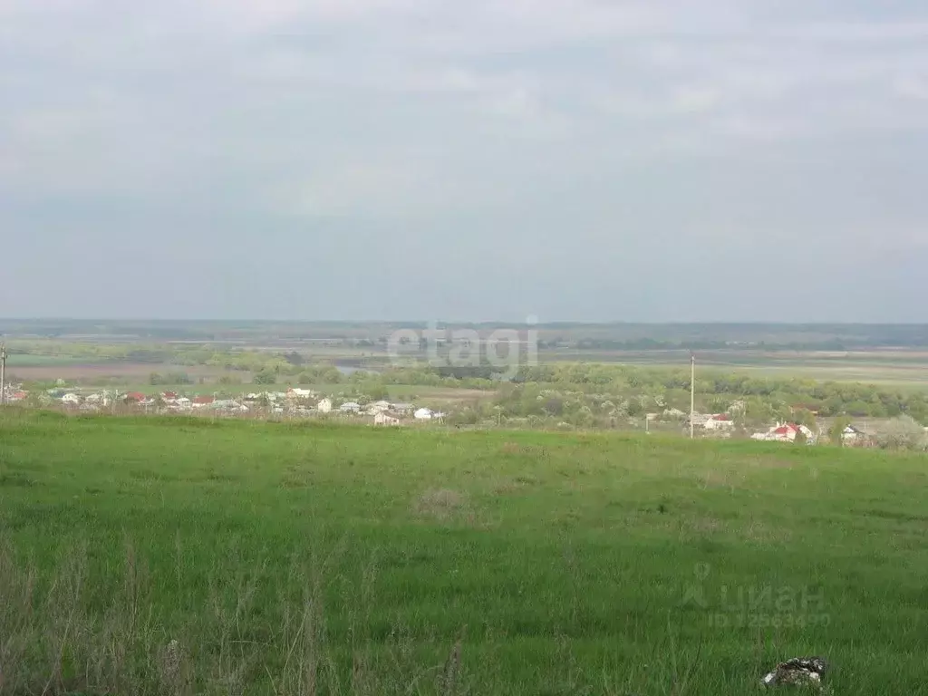 Участок в Воронежская область, Хохольский район, с. Гремячье  (20.0 ... - Фото 0