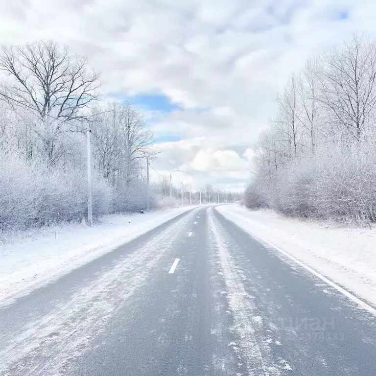 Дом в Псковская область, Островская волость, д. Городище ул. ... - Фото 1