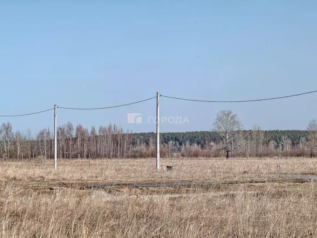 Участок в Новосибирская область, Новосибирский район, с. Кубовая, пос. ... - Фото 0