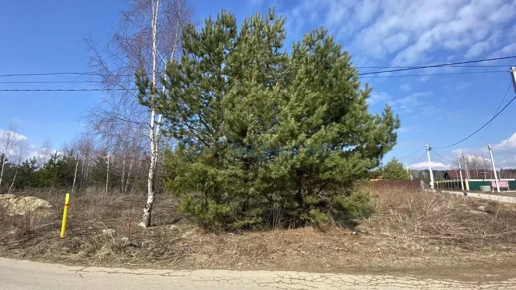 Участок в Нижегородская область, Городецкий муниципальный округ, ... - Фото 1