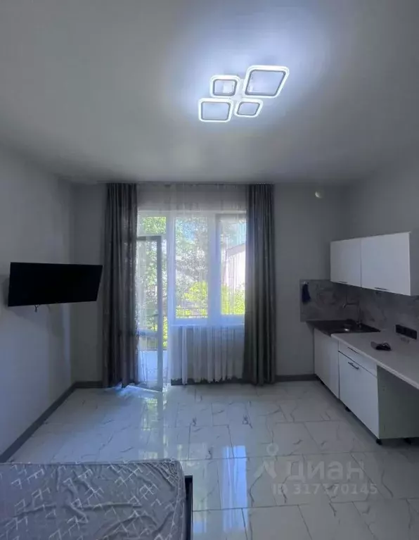 Студия Краснодарский край, Сочи ул. Яна Фабрициуса, 57/1 (27.0 м) - Фото 0