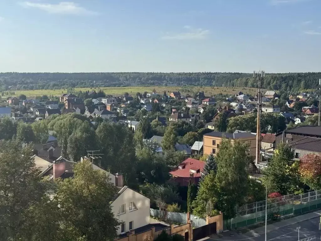 1-к кв. Москва пос. Воскресенское, 41к4 (38.9 м) - Фото 2