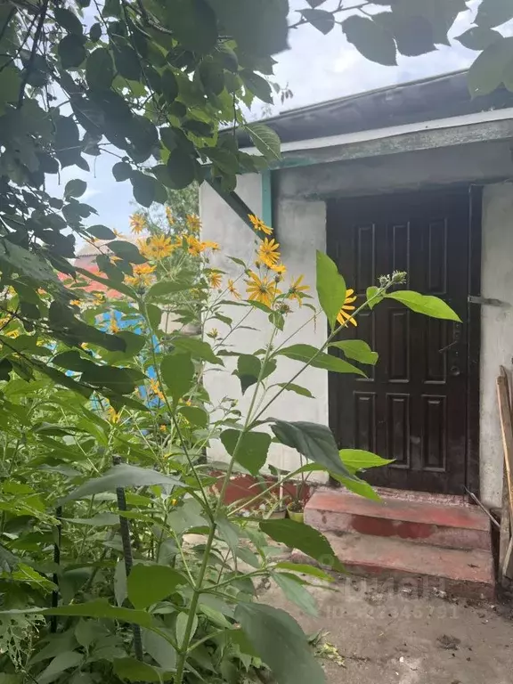 Дом в Воронежская область, Воронеж ул. Халтурина, 8 (32 м) - Фото 0