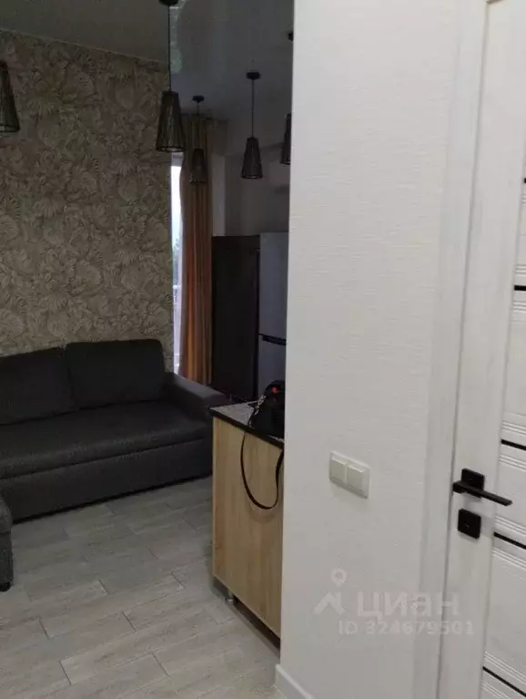 1-к кв. Краснодарский край, Сочи Мамайка мкр, ул. Загородная, 5/3 ... - Фото 2