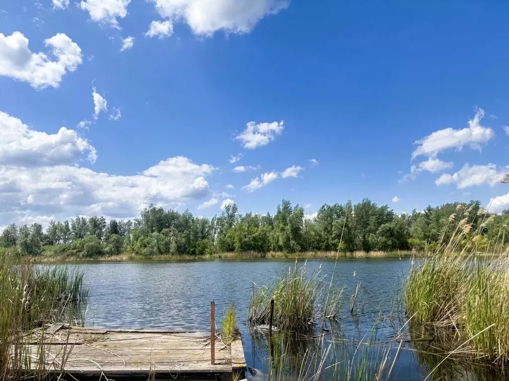 Дом в Саратовская область, Балаковский район, Натальинское ... - Фото 1