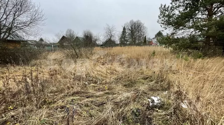 Участок в Московская область, Орехово-Зуевский городской округ, д. ... - Фото 1