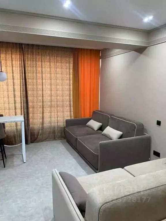 1-к кв. Краснодарский край, Сочи городской округ, Дагомыс пгт ул. ... - Фото 2