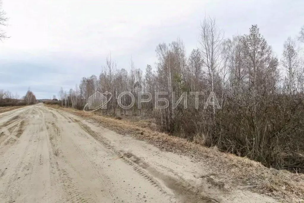 Участок в Тюменская область, Нижнетавдинский район, пос. Кунчур ул. ... - Фото 1