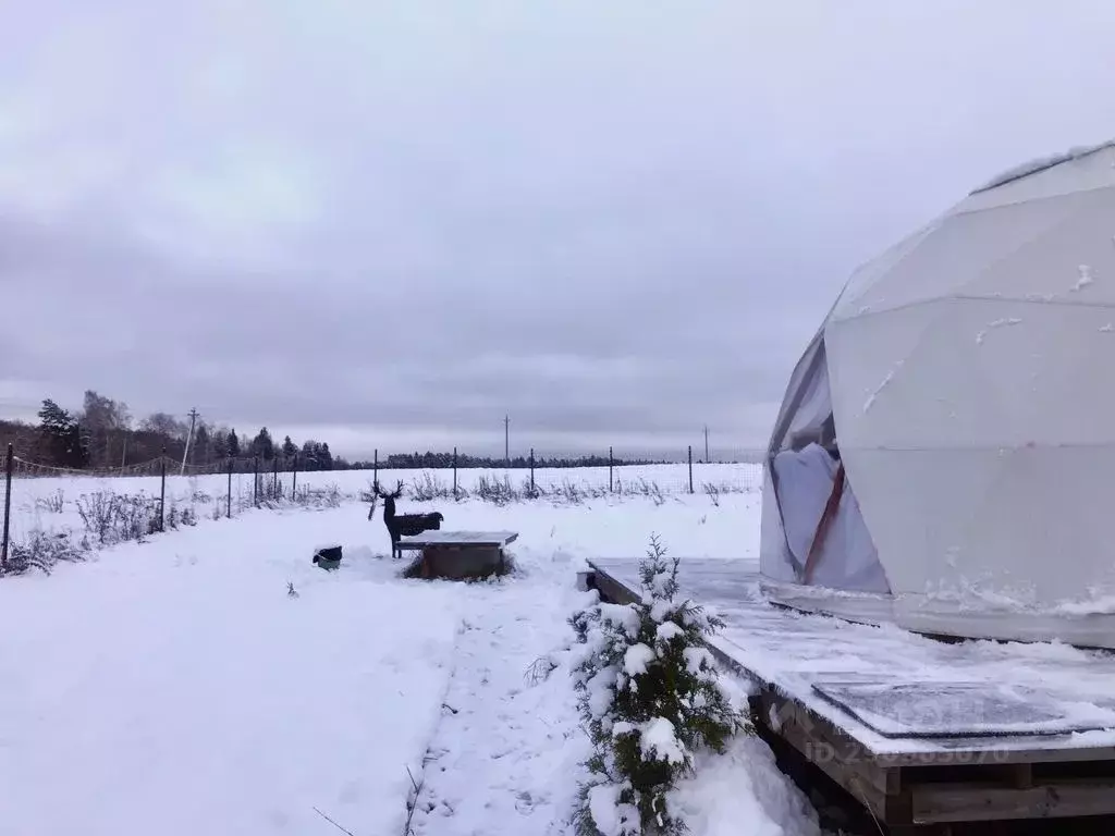 Дом в Московская область, Одинцовский городской округ, д. Полушкино ... - Фото 1