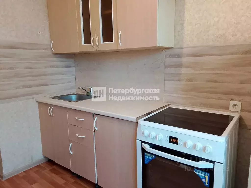 1-к кв. Санкт-Петербург пос. Парголово, ул. Михаила Дудина, 25к2 (39.2 ... - Фото 2