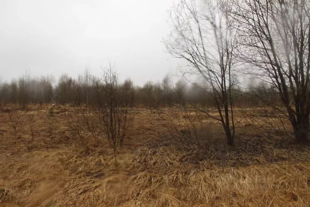 Участок в Московская область, Шаховская муниципальный округ, д. ... - Фото 2