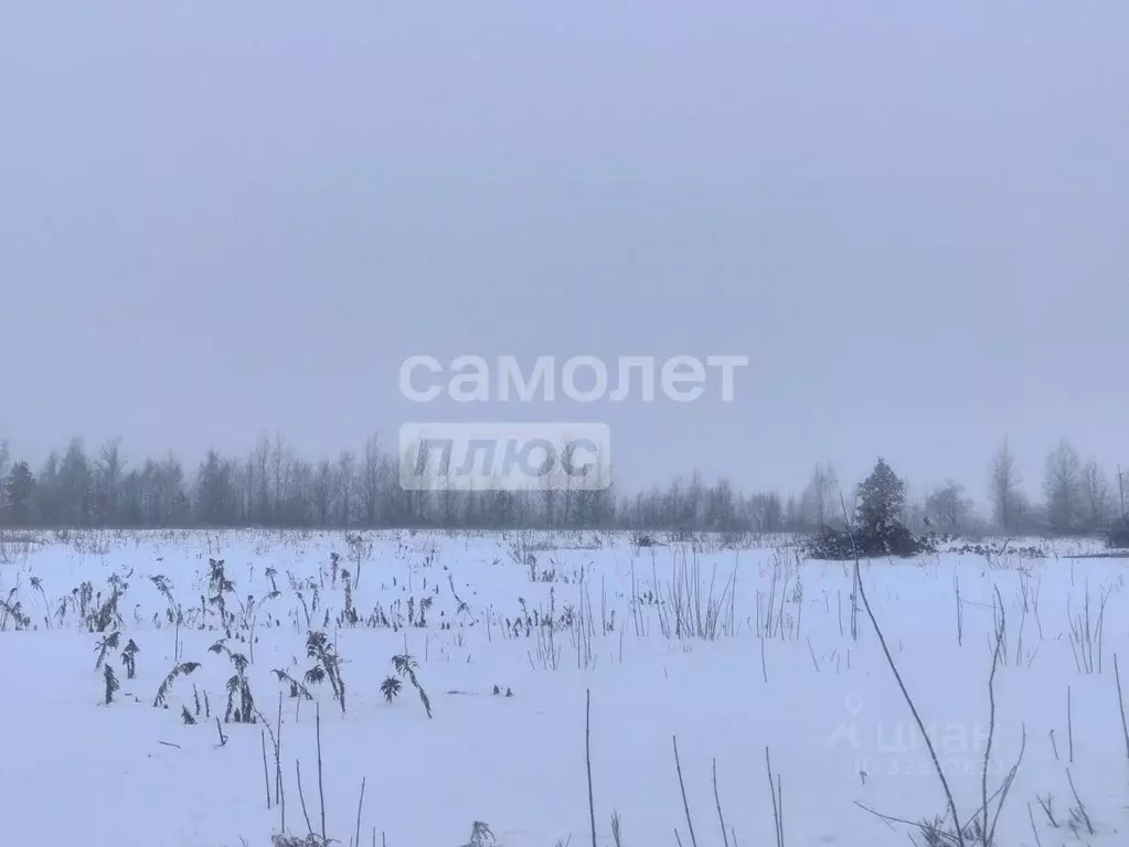 Участок в Курская область, Курский район, Нижнемедведицкий сельсовет, ... - Фото 2