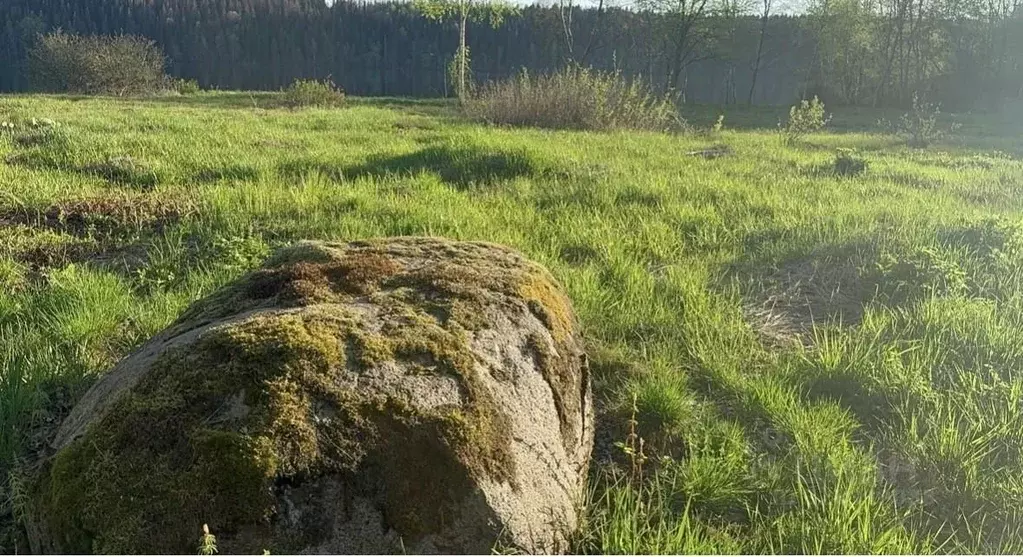 Участок в Ленинградская область, Выборгский район, Полянское с/пос, ... - Фото 1